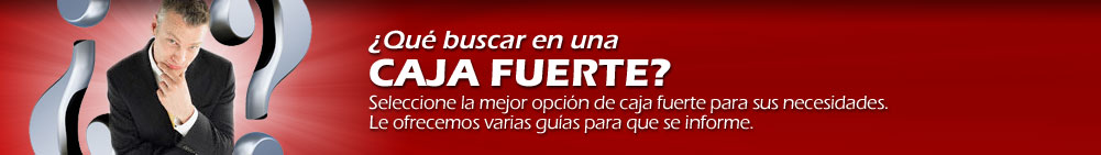 &iquest;Qu&eacute; buscar en una Caja Fuerte?